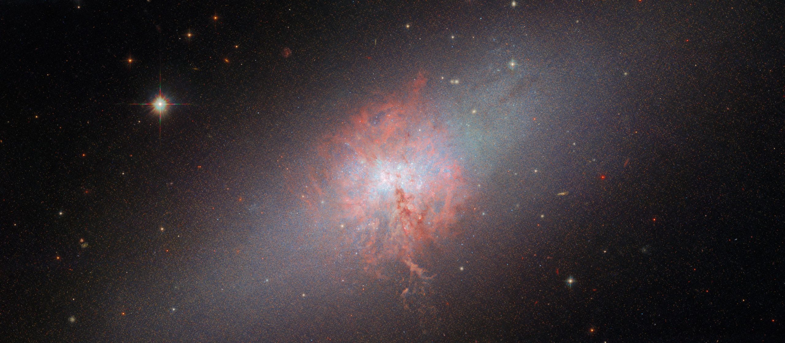 Explorando el horno estelar de NGC 5253