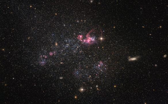 Dwarf Galaxy UGC 4459