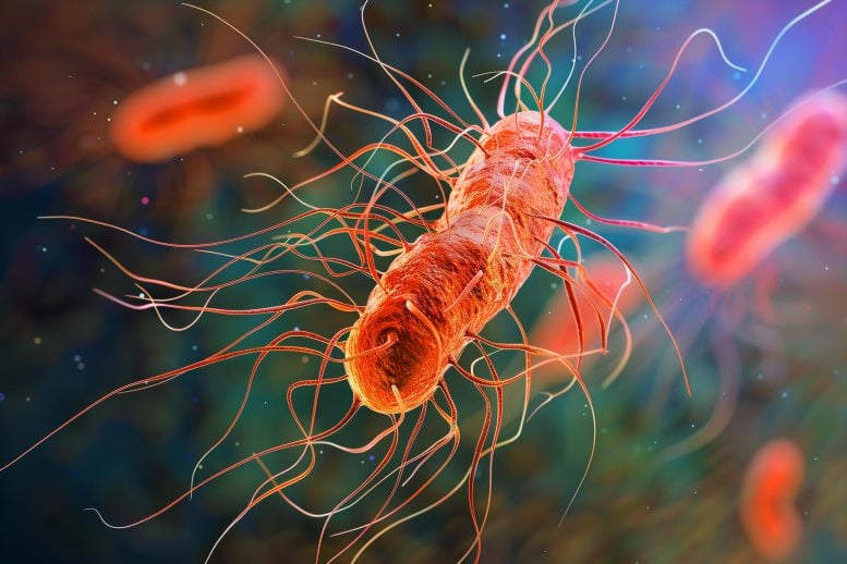 E coli Superbug Bacteria Concept