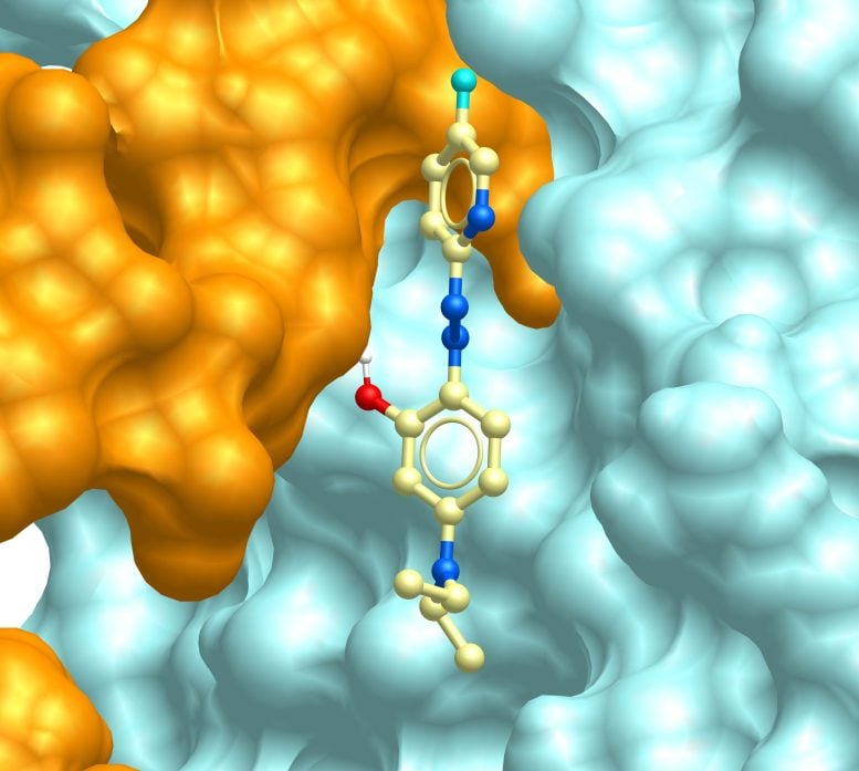 ENDOtollins Inhibit Munc13 4 Syntaxin 7 Binding and Decrease Endosomal TLR Activation