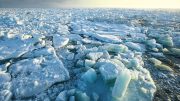 ESA Shows Volume of Arctic Sea Ice Has Increased