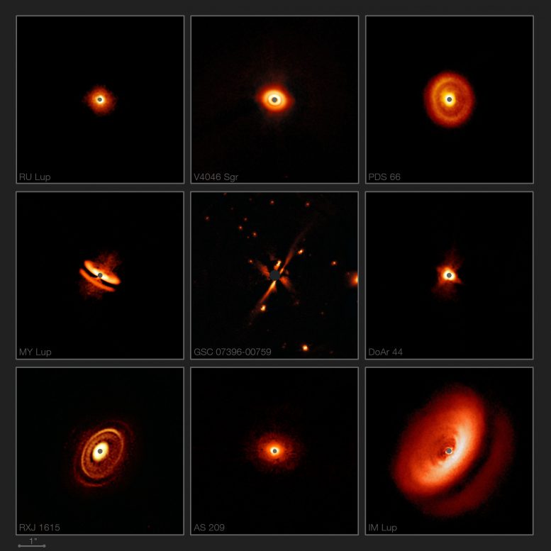 ESO Reveals Fascinating Zoo of Discs Around Young Stars