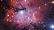 ESO Views Star Formation Region Gum 15