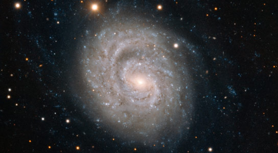 ESO Views Supernova in Spiral Galaxy NGC 1637