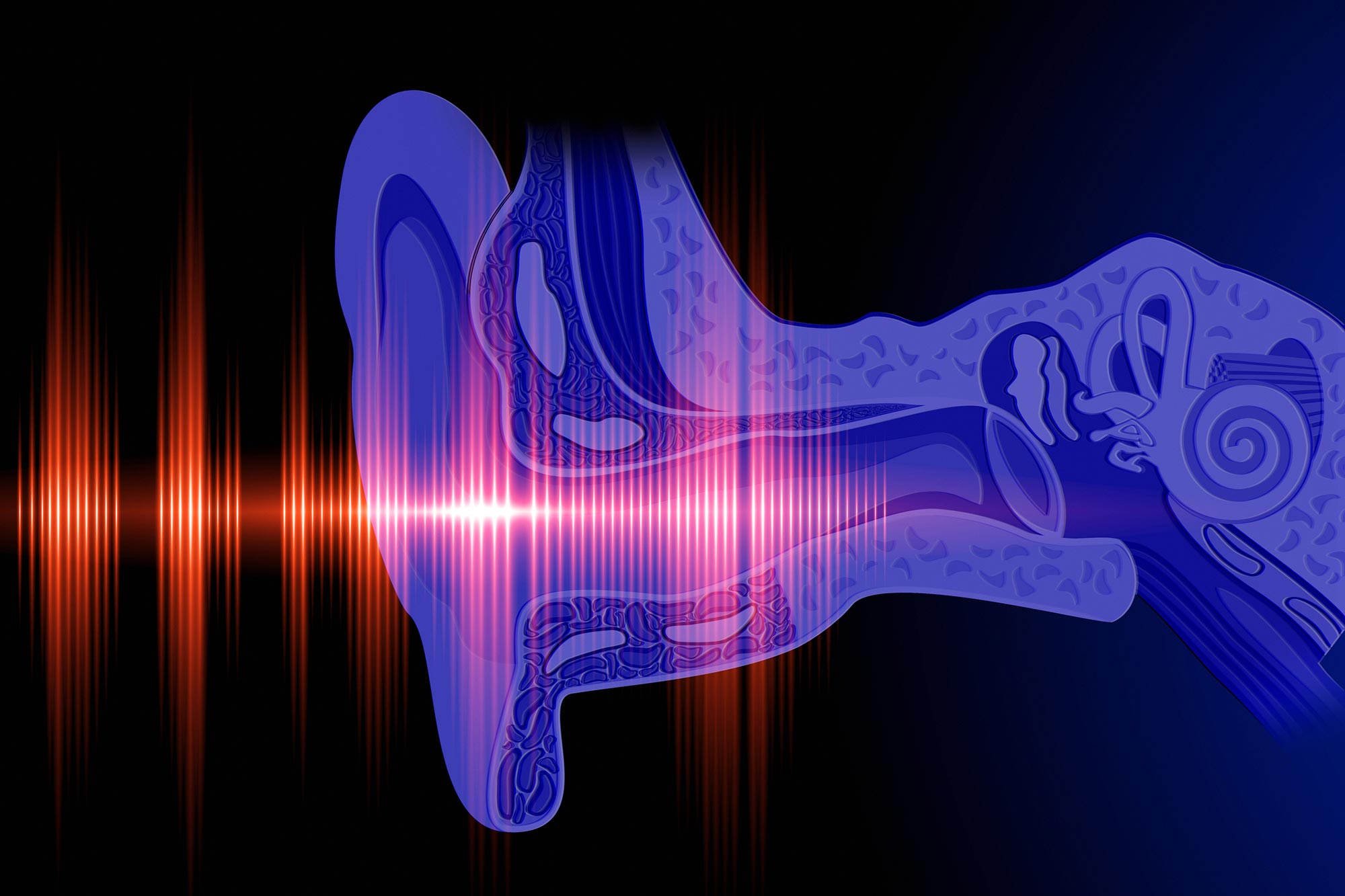Ear Hearing Concept