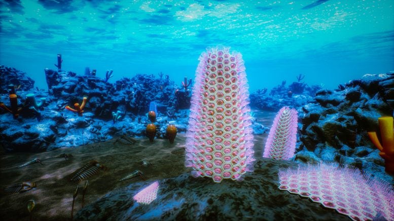 Early Cambrian Seafloor Bryozoan Reconstruction