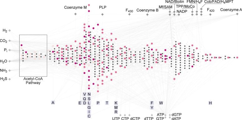 Early Cell Metabolism Reaction Network
