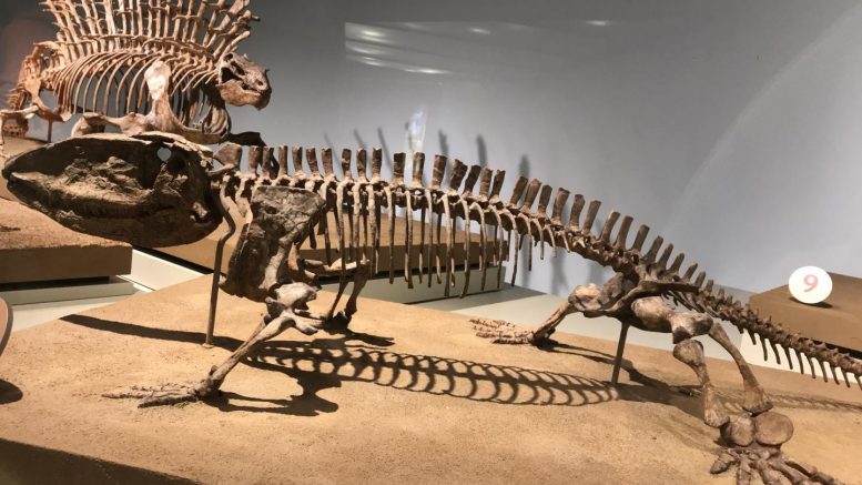 Prehistoric Fossilized Footprints Show Earliest Known Evidence of ...