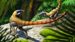 Early Pterosaur Scleromochlus taylori