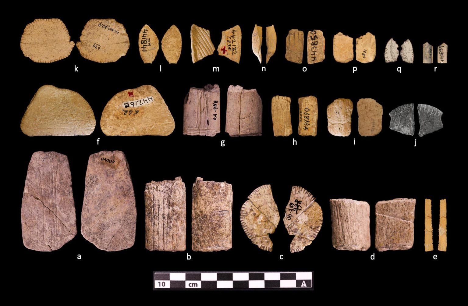 First Dice 12,000-Year-Old Native American Dice Rewrite the History of Gambling
