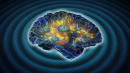 Earthquake-like Bursts of Intrinsic Arousal Activations in the Brain Found to be Essential for Sleep and Sleep-Stage Transitions