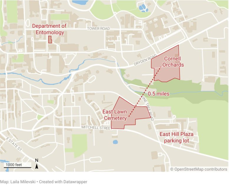 East Lawn Cemetery Proximity to Cornell Orchards