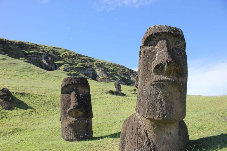 Easter Island’s Society May Not Have Collapsed