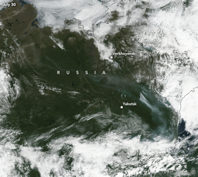 Eastern Siberia Wildfires 2020
