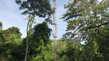 Eddy Covariance Flux Tower