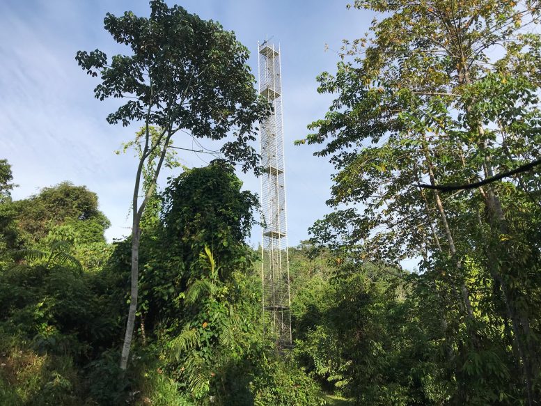 Eddy Covariance Flux Tower