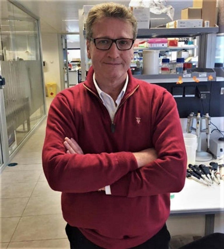 New Molecules Derived From CBD Designed With More Potent Antioxidants ...