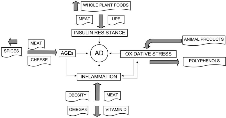 Effects of Specific Dietary Food Groups and Factors on Risk of Alzheimer’s Disease