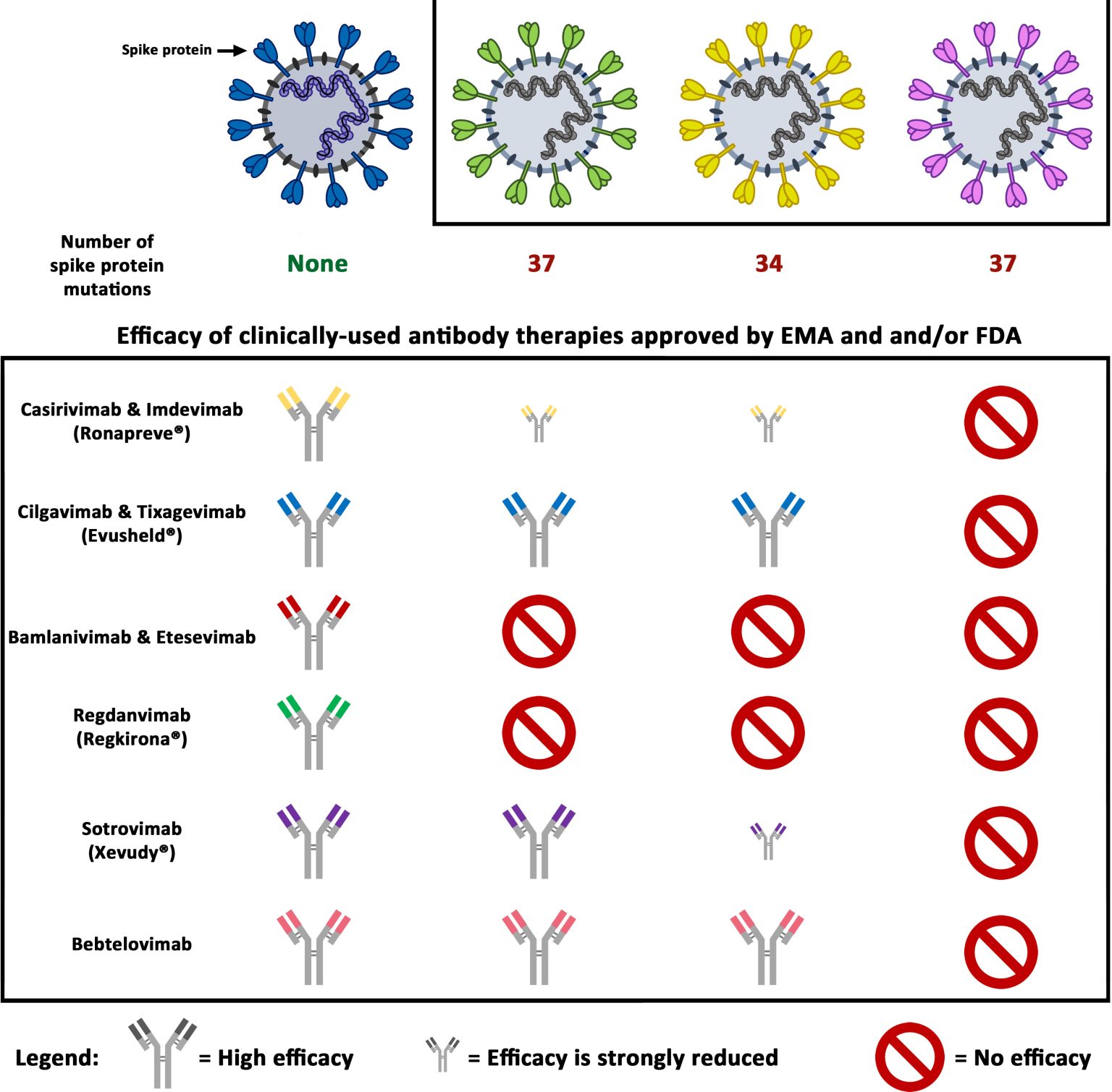 Efficiacy-of-Clinically-Used-Antibody-Therapies-Approved-by-EMA-and-FDY-1536x1509.jpg