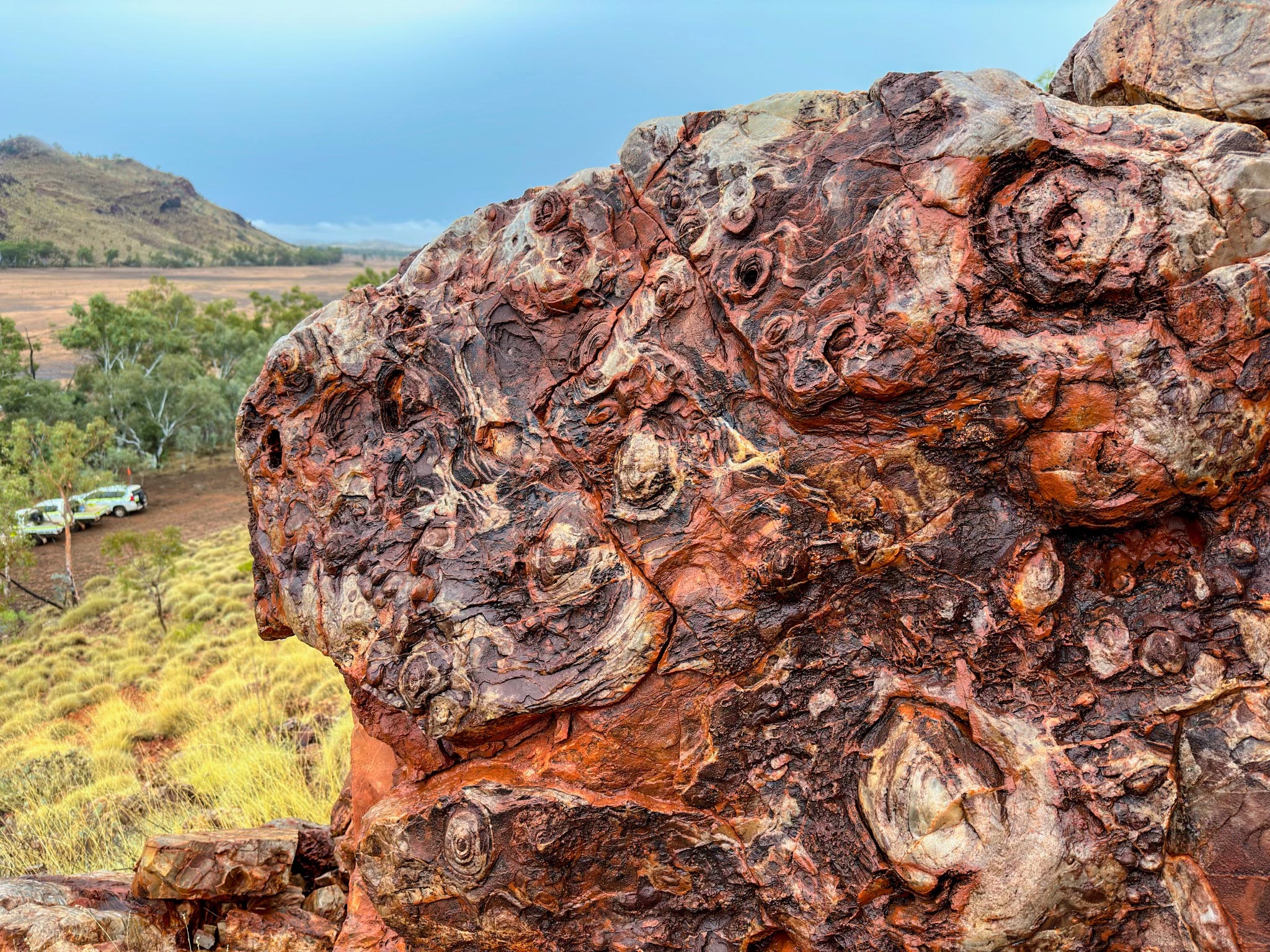 Em estromatólitos antigos na Austrália, a NASA encontrou um projeto para a exploração de Marte