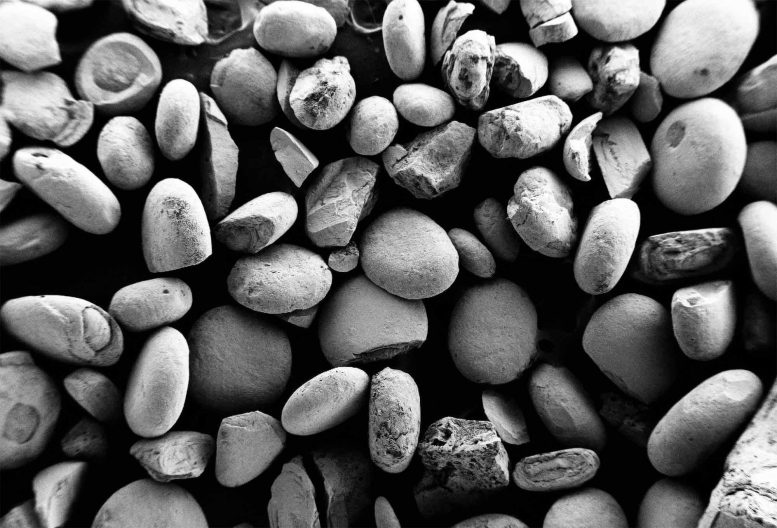 Egg-Shaped Iron Oxide Stones Under an Electron Microscope