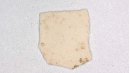 Eggshell Fragment From the Site of Bash Tepa