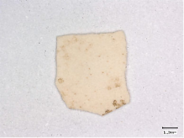 Eggshell Fragment From the Site of Bash Tepa