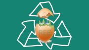 Eggshell Waste Can Recover Rare Earth Elements Needed for Green Energy