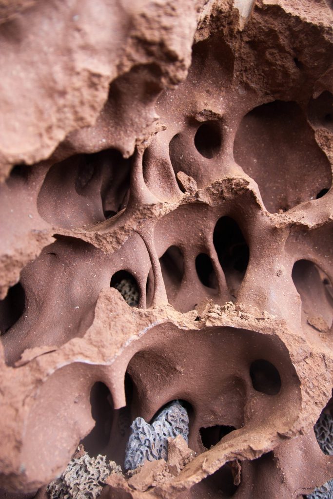 Egress Complex Termite Mound