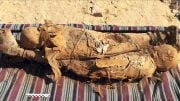 Egyptian Mummy Bones