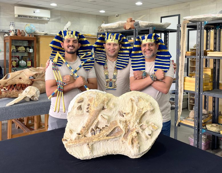 Egyptian Paleontologists Abdullah Gohar, Mohamed Sameh, and Hesham Sallam