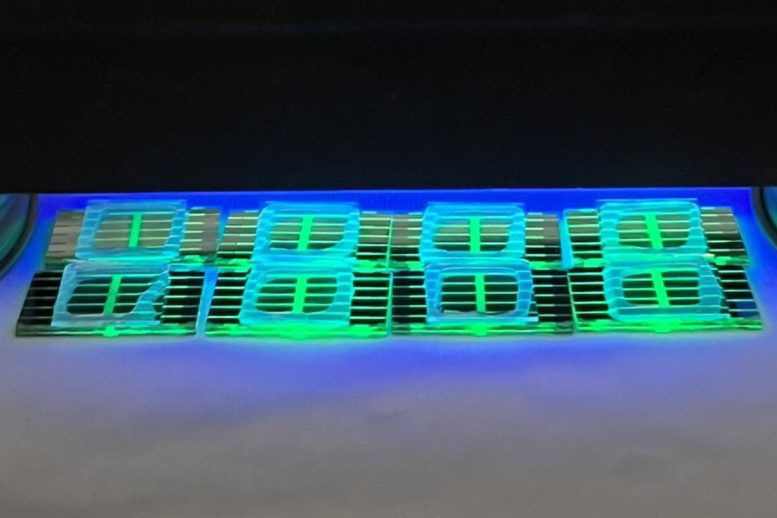 Eight Green Perovskite LED Substrates