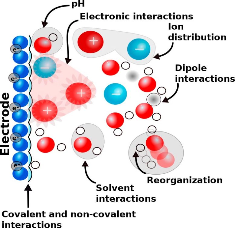 Electrochemical Interface Reaction Environment