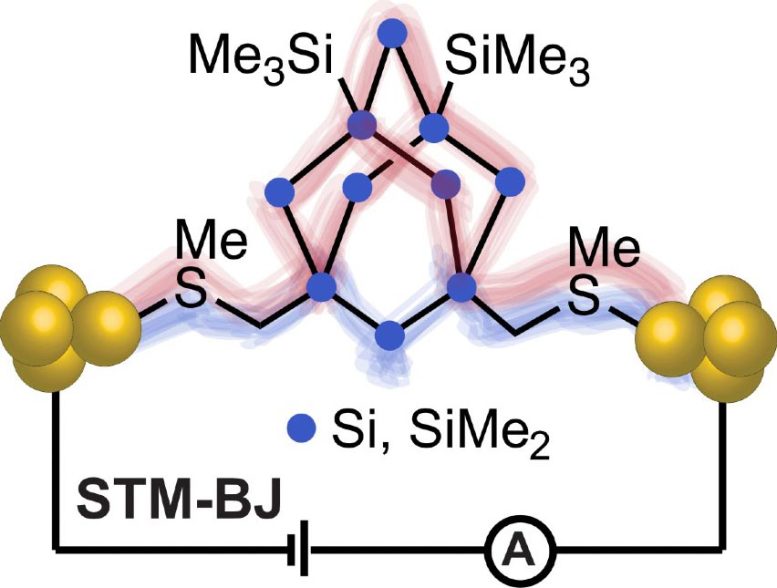 Electrode Alignment Triggers Quantum Interference in Silicon Wire