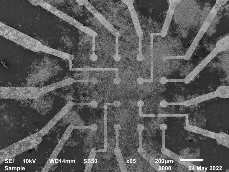 Electrode Interaction With Nanowire Network