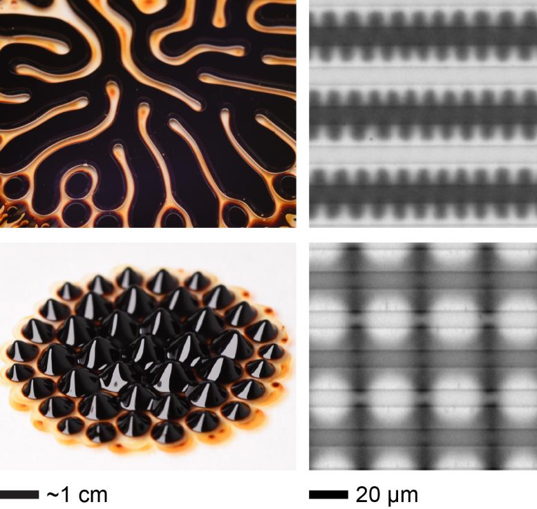 Electroferrofluid Patterns