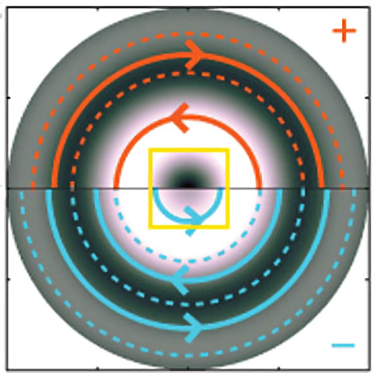 Electron Beams Spin and Vortex Orientation