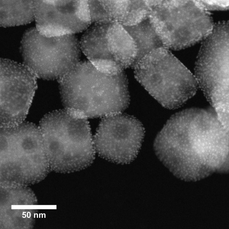 Electron Micrograph Platinum Nanoparticles