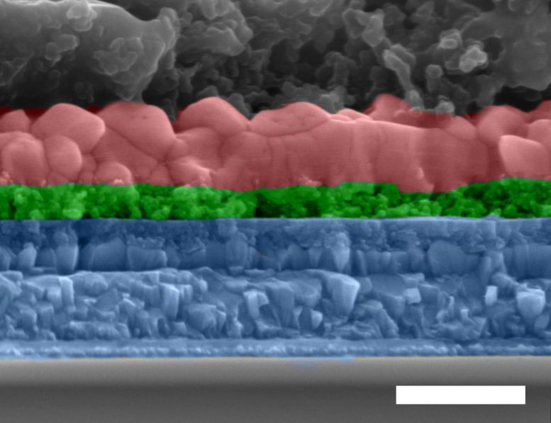 Electron Microscope Cross Section of All-Inorganic Perovskite Solar Cell