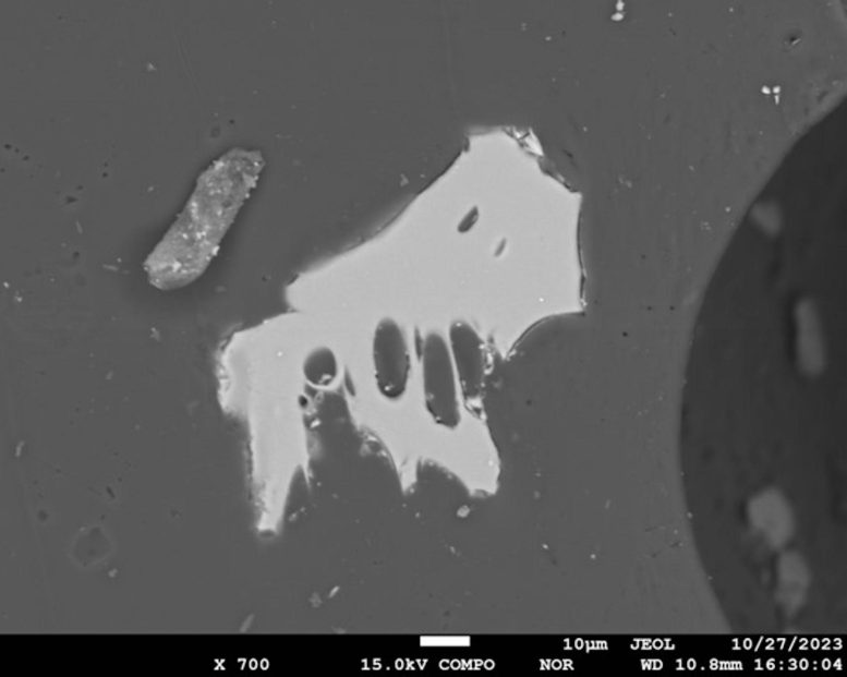 Electron Microscope Image of Volcanic Glass Shard