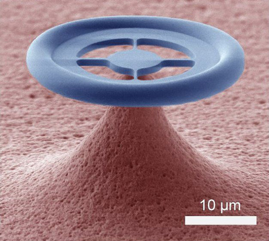Electron microscopy image of the glass donut