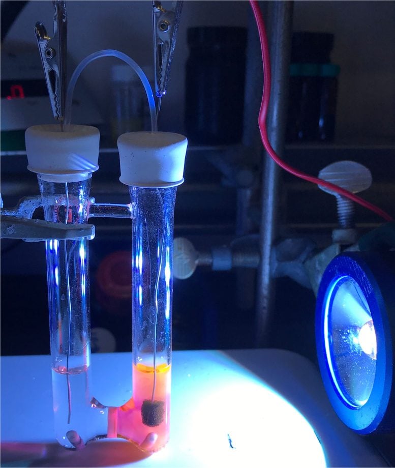 Electrophotocatalytic Reaction in Progress in the Wickens Lab at UW–Madison