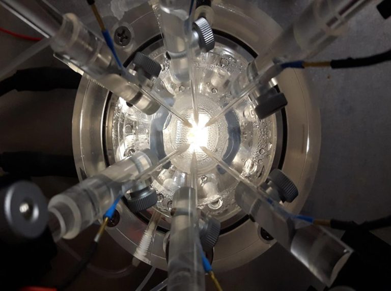 Scientists Discover Natural Longevity Molecule That Restores Memory in ...