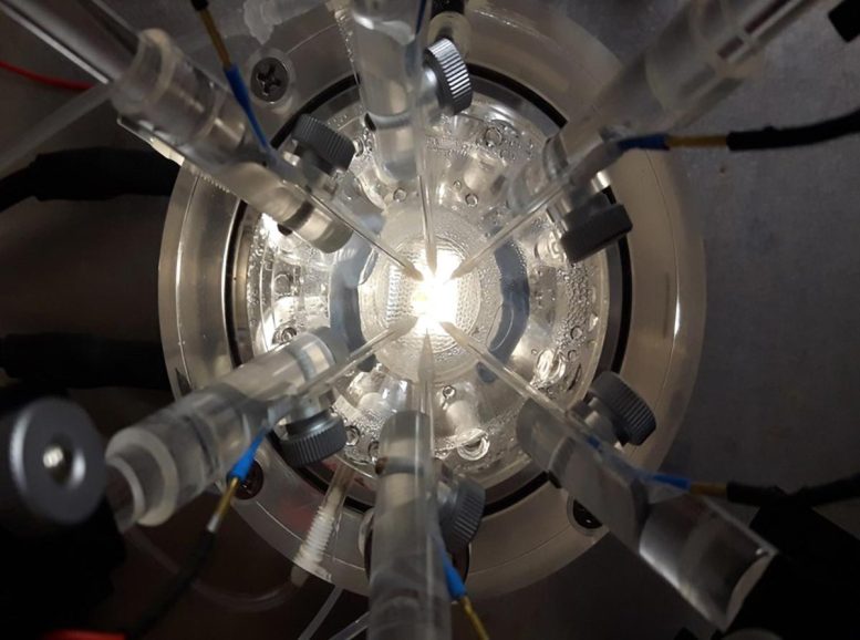 Electrophysiology Set Up