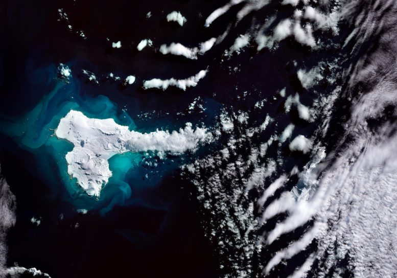 La majestuosa Isla Elefante de la Antártida capturada desde el espacio