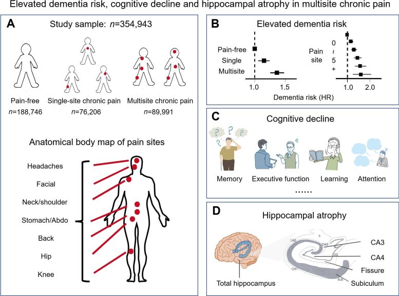 Elevated Dementia Risk, Cognitive Decline, and Hippocampal Atrophy in Multisite Chronic Pain