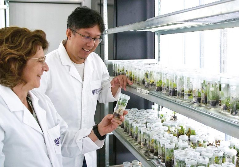 Elizabeth Aitken and Andrew Chen