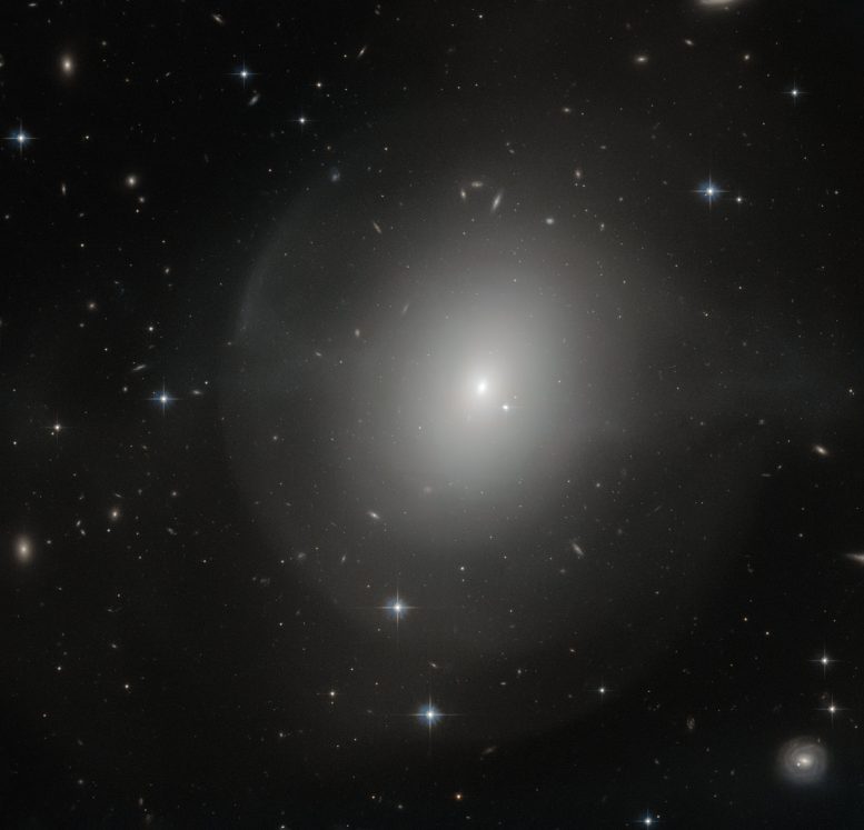 Elliptical Galaxy NGC 2865