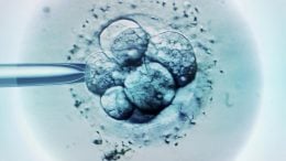 Embryo Selection for IVF