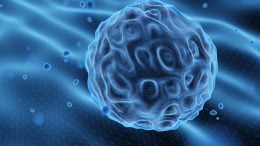 Embryonic Stem Cell Illustration